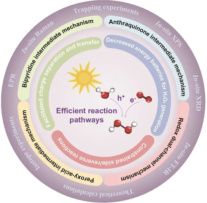 Metal-free catalysts break through in green H2O2 synthesis! Novel organic semiconductors enable high-efficiency interfacial reactions