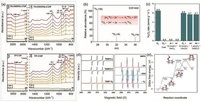 Metal-free catalysts break through in green H2O2 synthesis! Novel organic semiconductors enable high-efficiency interfacial reactions