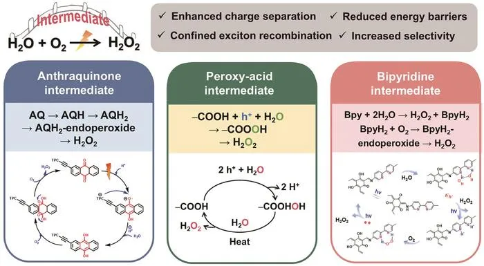 Metal-free catalysts break through in green H2O2 synthesis! Novel organic semiconductors enable high-efficiency interfacial reactions