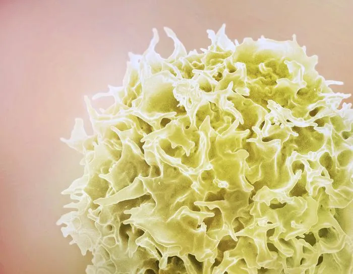 T-cell