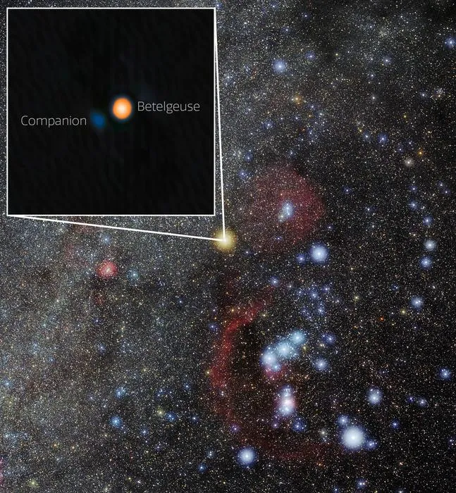 Betelgeuse and Its Stellar Companion in Orion