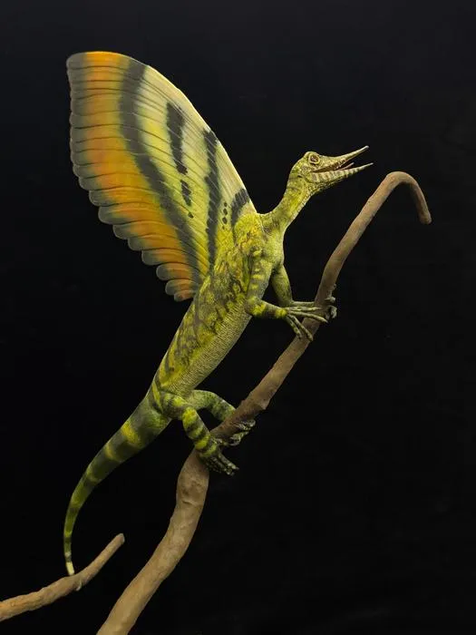 Model of Mirasaura grauvogeli
