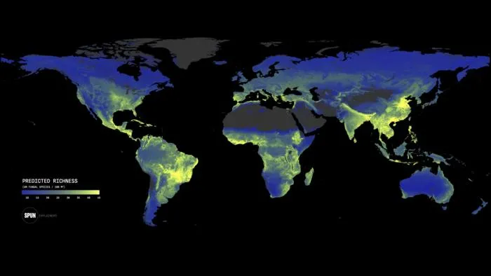 Global arbuscular mycorrhizal biodiversity hotspots.