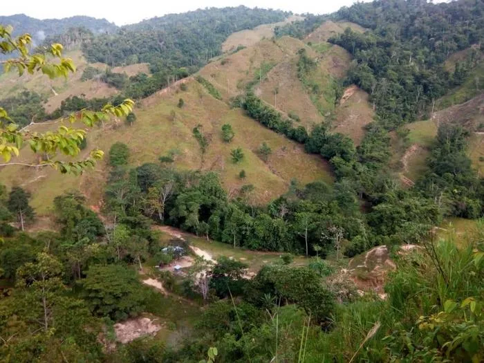 Forests and pastures near the study sites in the Colombian Andes