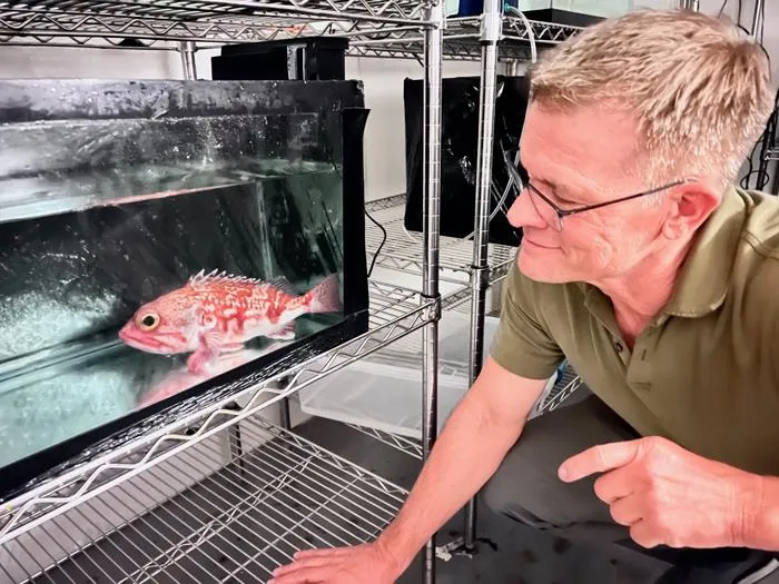 Deep-sea fish confirmed as a significant source of ocean carbonate