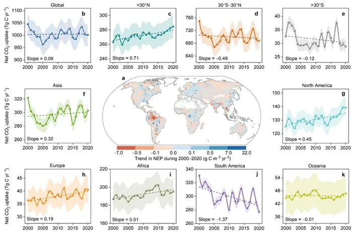 Temporal patterns in global and regional wetland carbon sequestration