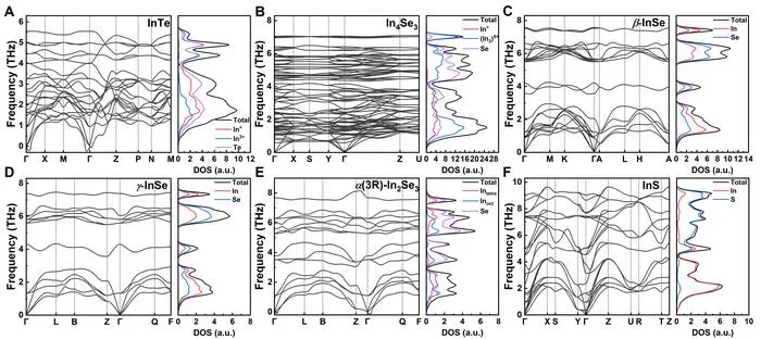 Figure 4. Phonon band structures and total/partial phonon density of states calculations for InTe, In4Se3, β/γ-InSe, α(3R)-In2Se3, and InS, revealing unique phonon scattering mechanisms and anharmonic vibrational behaviors in these binary indium chal
