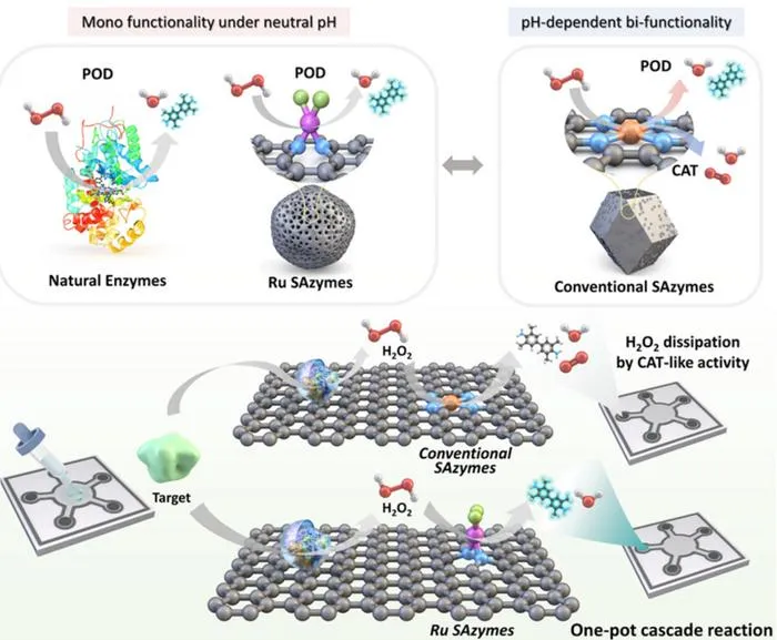 KAIST Enables On-Site Disease Diagnosis in Just 3 Minutes... Nanozyme Reaction Selectivity Improved 38-Fold​