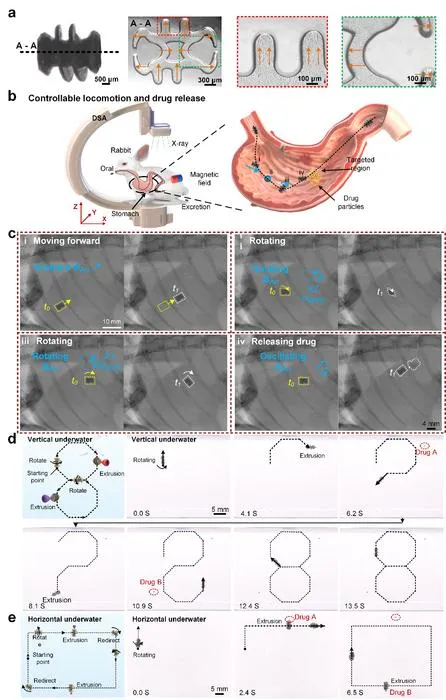 Figure 4. Design and functions of 3D spiral capsule robots