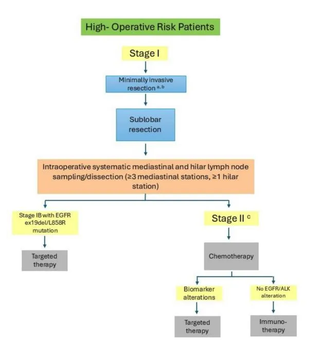 High-Operative Risk Patients