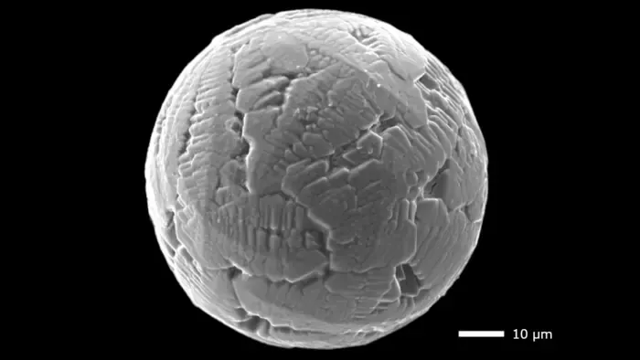 Electron microscope image of a 240-million-year-old micrometeorite.
