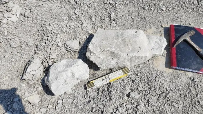 Chunks of rock from the chalk marl pit in Hannover.
