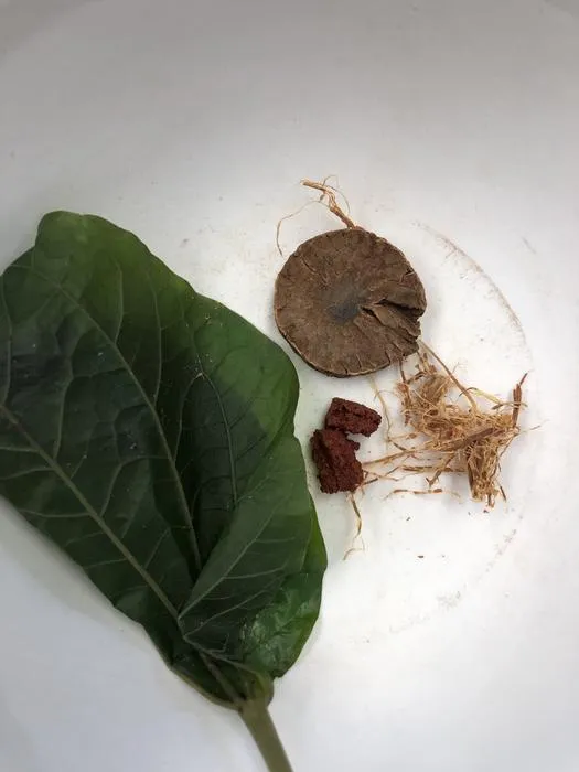 Modern betel quid ingredients