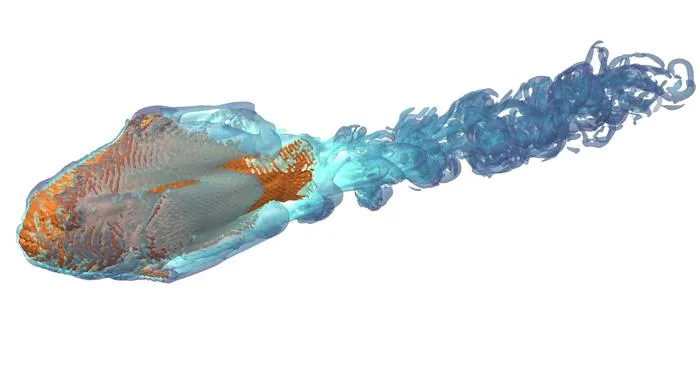 Digital simulation of water flow on A. clarkii