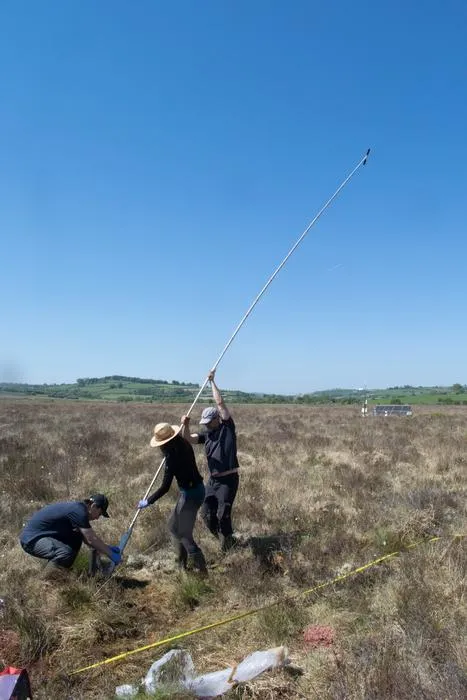 University of Bristol researchers extracting long peat cores from Cors Caron Bog, near Tregaron