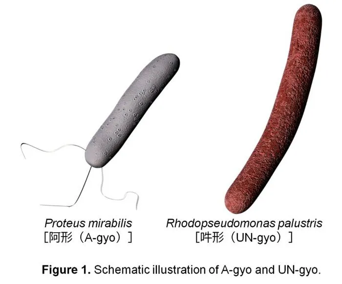 Figure1_MiyakoE_20250728