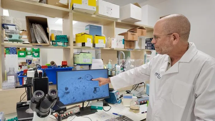 Prof. Benjamin Dekel