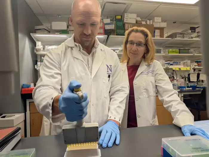 Study authors Drs. Stephanie Eisenbarth and Adam Williams conducting allergy research in their lab at Northwestern University Feinberg School of Medicine