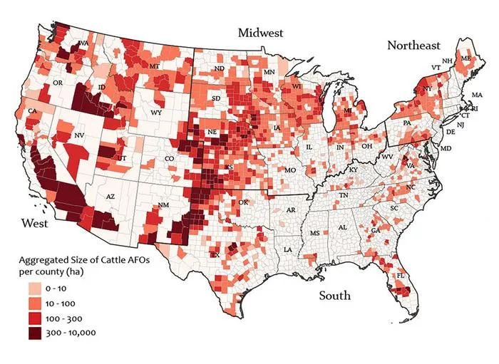 County-level maps of cattle feeding operations in the U.S.