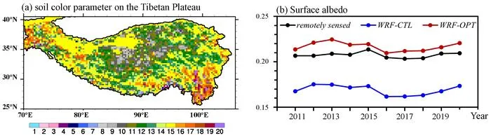 Fig. 1. Distribution of optimized soil color parameter and simulation of summer surface albedo