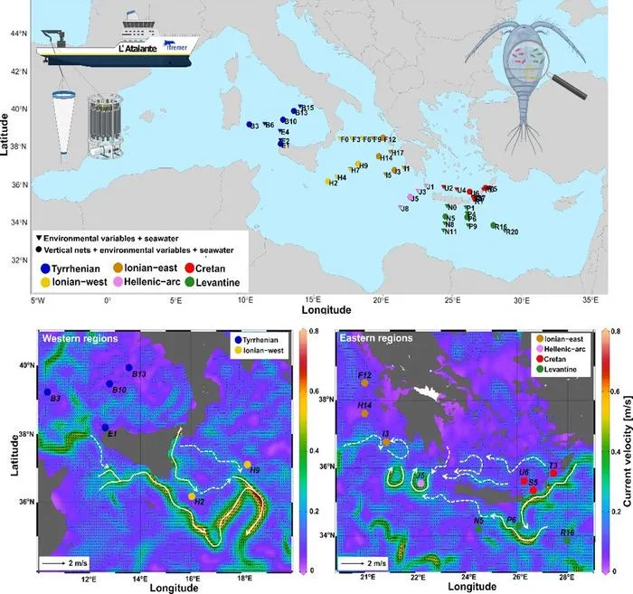 Copepod Microbiom map