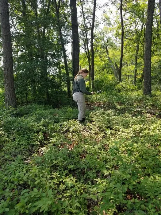 Calli Wise Field Work 1