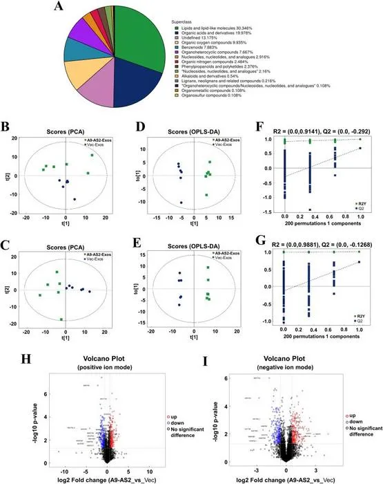 Liquid chromatography-mass spectrometry profiling of metabolomic reprogramming in CAL27 cells after ADAMTS9-AS2-Exos treatment and identification of metabolites.