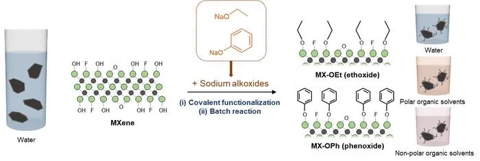[Figure 1] Illustration for the synthesis of amphiphilic MXene using alkoxide molecules