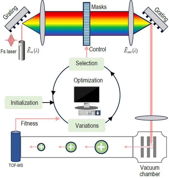 Learning-based control of femtosecond laser pulses in experimental settings