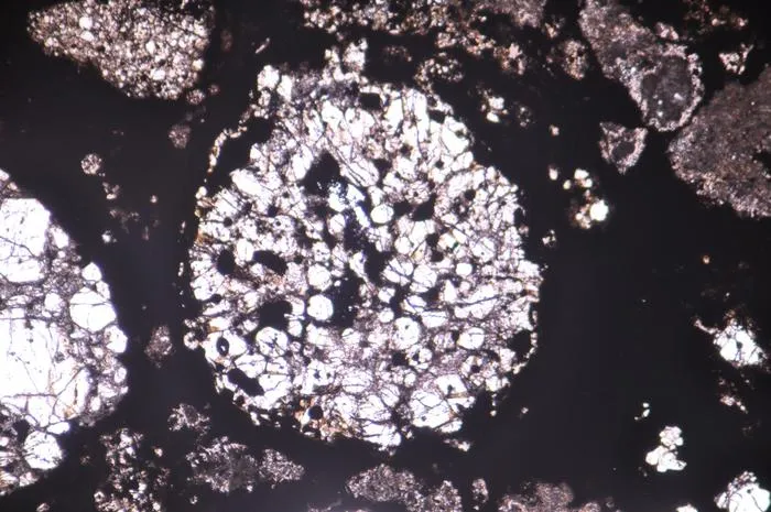 Chondrules in a meteorite sample