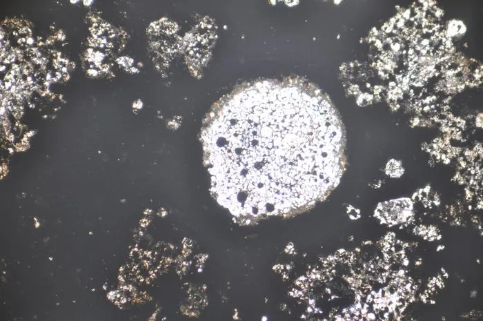 Chondrules in a meteorite sample
