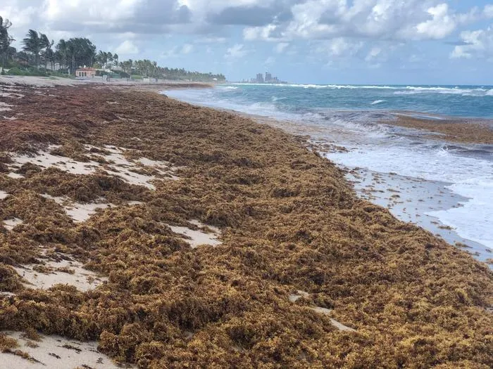 Palm Beach County