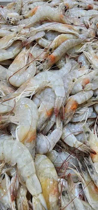White shrimp (pre-processing)
