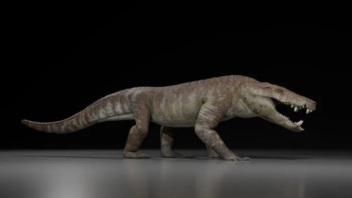 A new large hypercarnivorous crocodyliform from the Maastrichtian of Southern Patagonia, Argentina