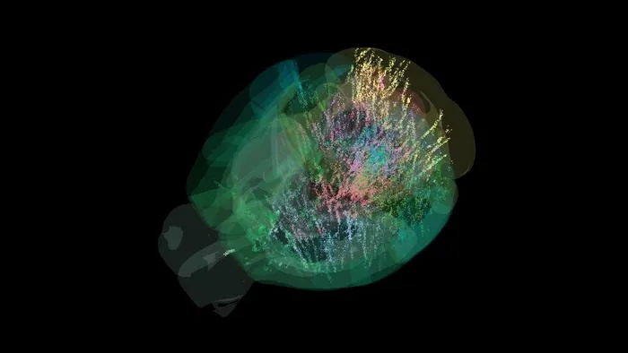 Brain-wide neural activity captured during decision-making task in mice