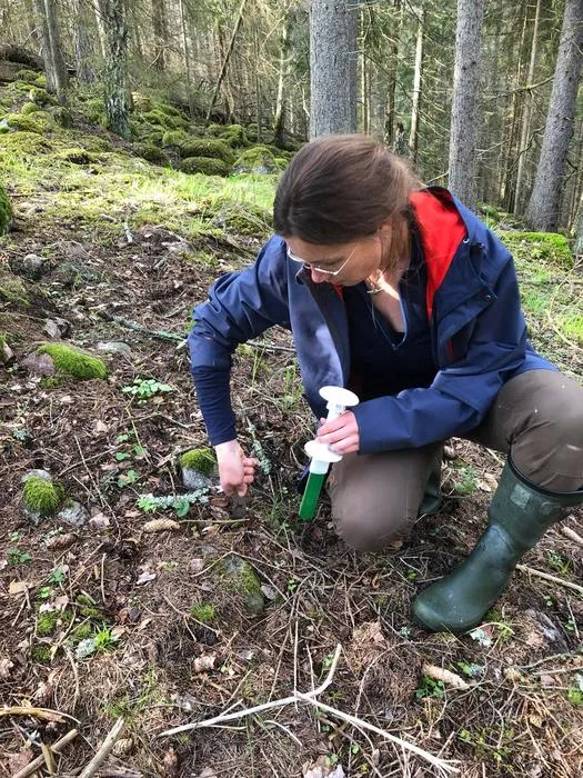 Caroline Greiser installing a microclimate sensor
