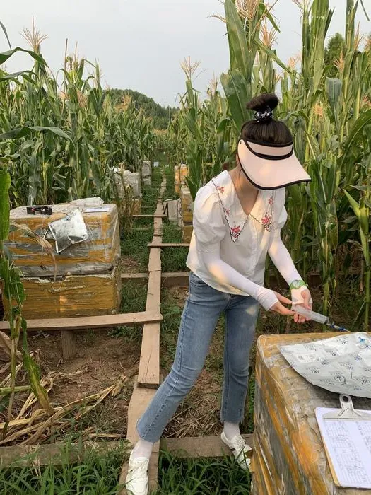 Field measurement in maize cultivation systems of Sichuan, China