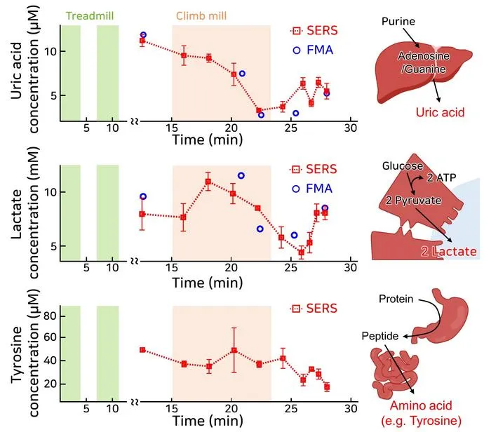 KAIST Develops Smart Patch That Can Run Tests Using Sweat Instead of Blood​