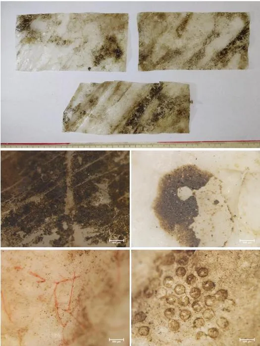 Reserch findings