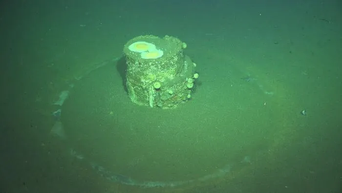 Upright barrel with surrounding white halo