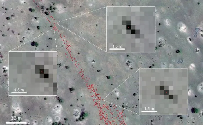 Zoomed WorldView-3 satellite image showing individual wildebeest resolved at the pixel level.