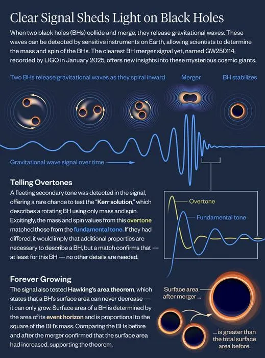 Infographic