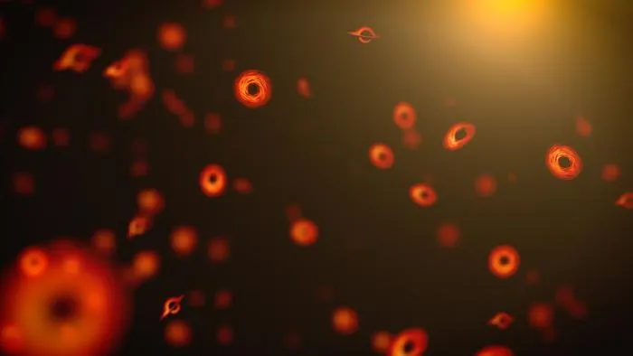 Primordial Black Holes