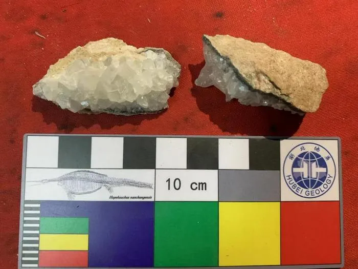 Fossil sampling