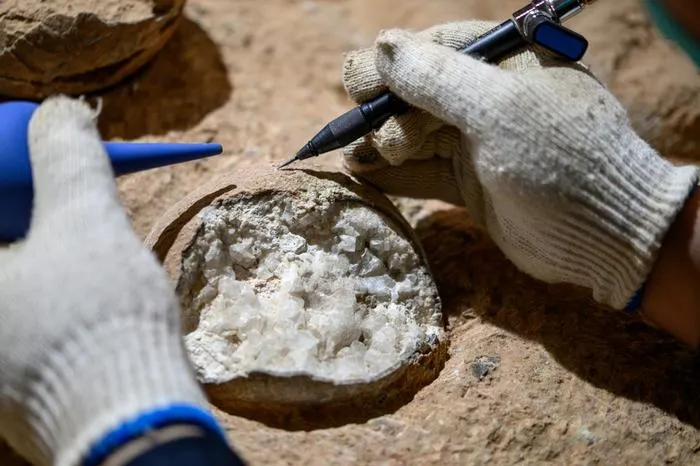 Fossil sampling