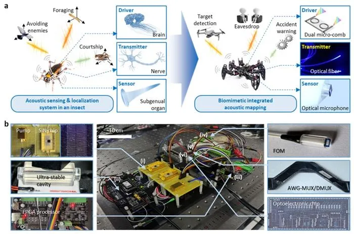 Figure 1. Conceptual design of the dual-microcomb based biomimetic acoustic mapper.