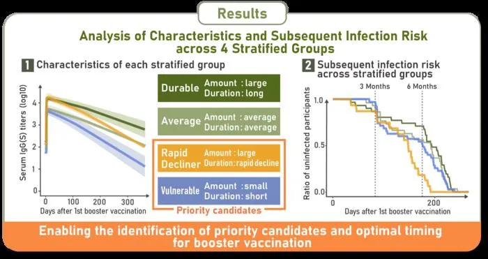 Four COVID-19 antibody response patterns identified