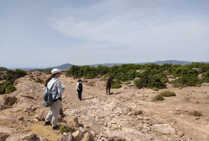 Field survey in Ayvalık