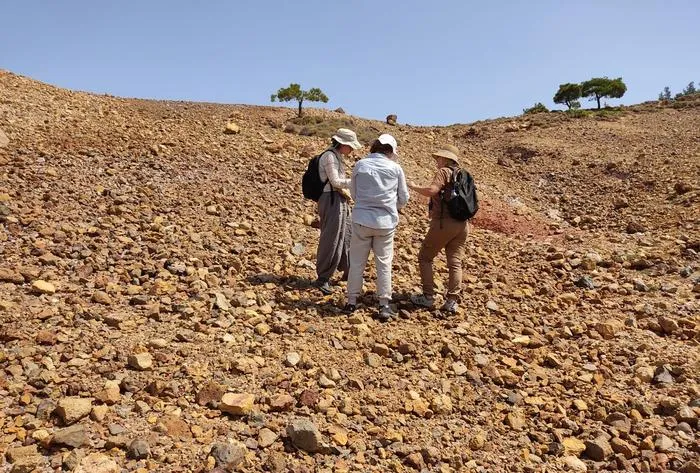 Field survey in Ayvalık.
