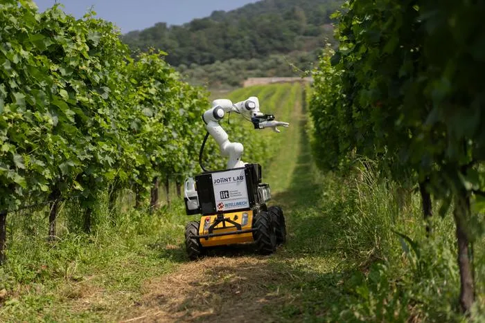 Frasky tested in a real vineyard